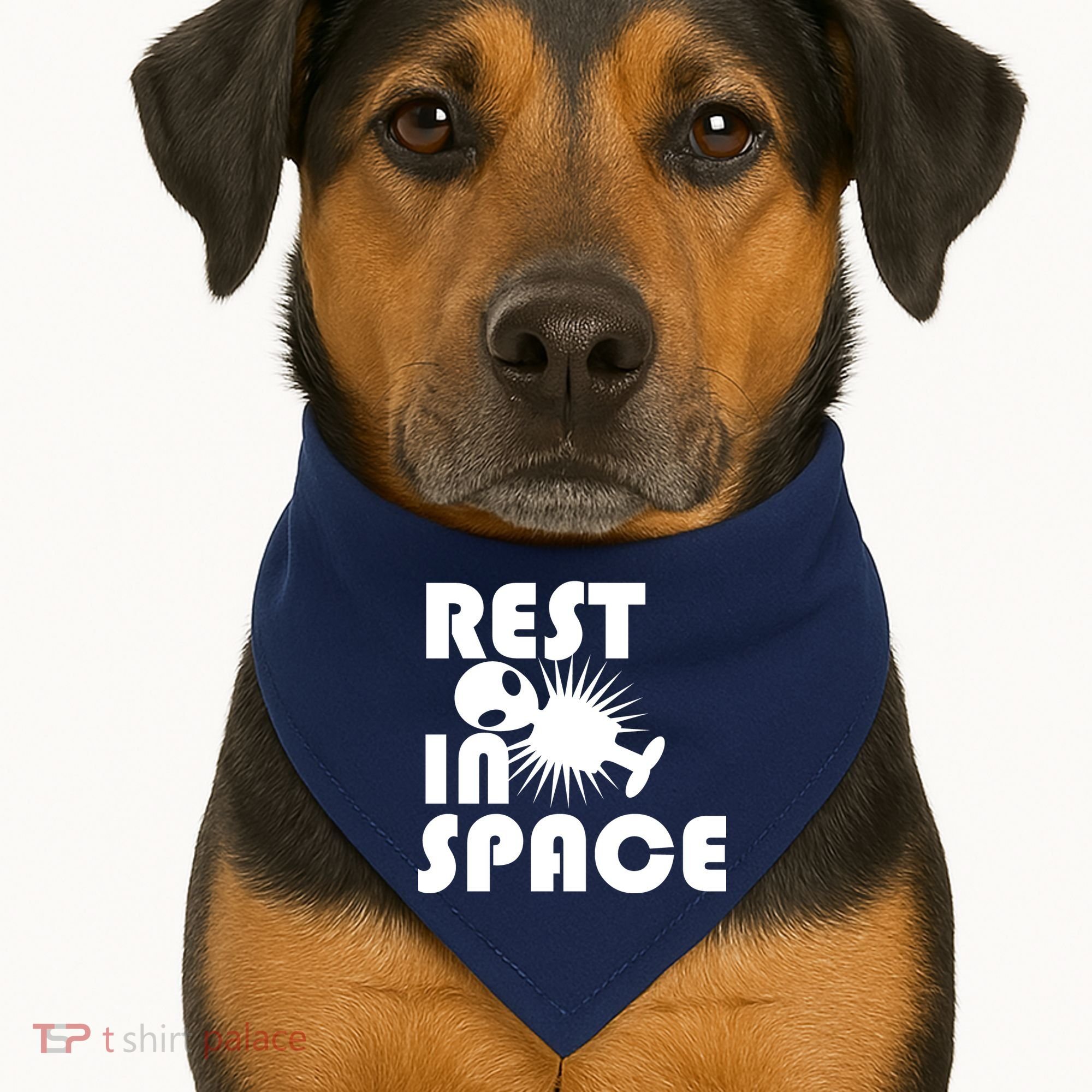 Rest In Space USA-Made Doggie Bandana
