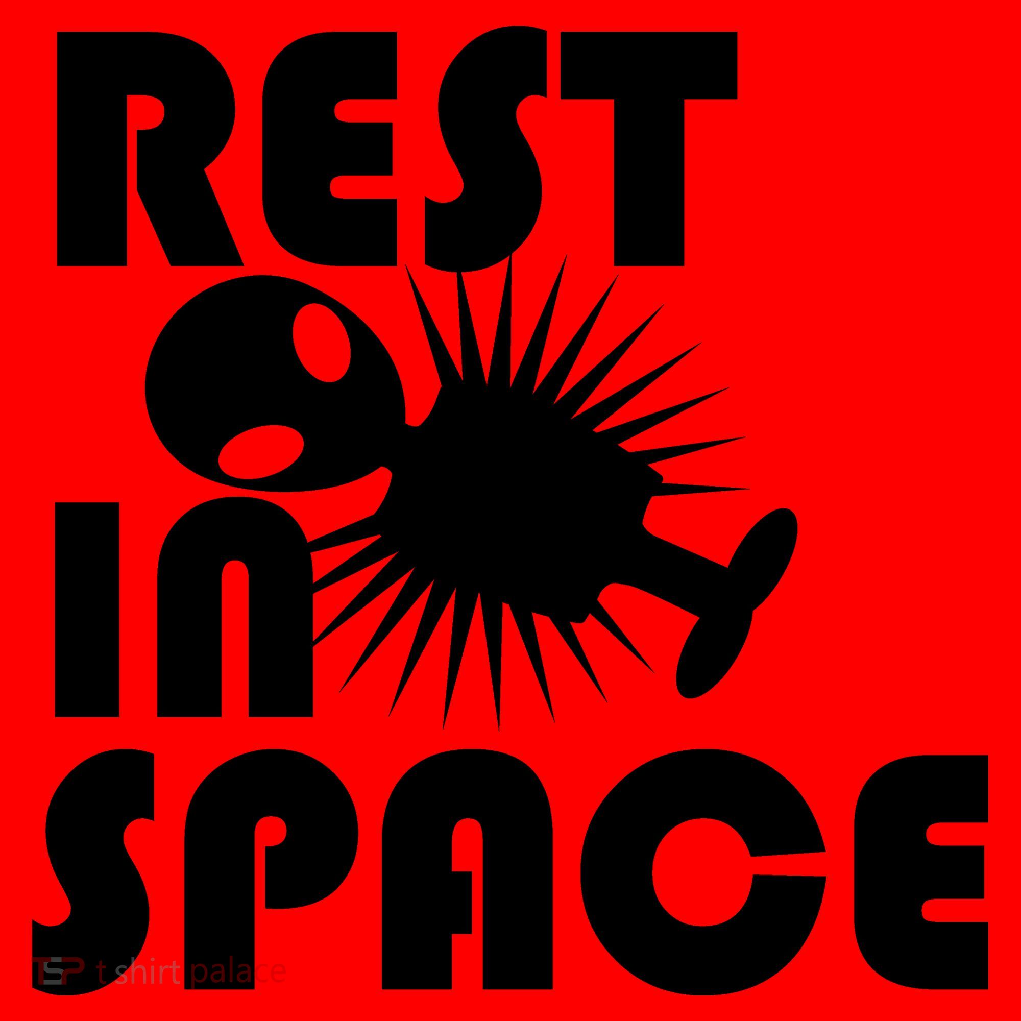 Rest In Space Santa Hat