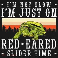 Red Eared Turtle Red Eared Funny Red Eared Slider Turtle Sweatshirt thumb 3