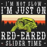 Red Eared Turtle Red Eared Funny Red Eared Slider Turtle Beanie thumb 2