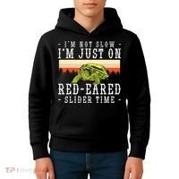 Red Eared Turtle Red Eared Funny Red Eared Slider Turtle Kids Hoodie thumb 4