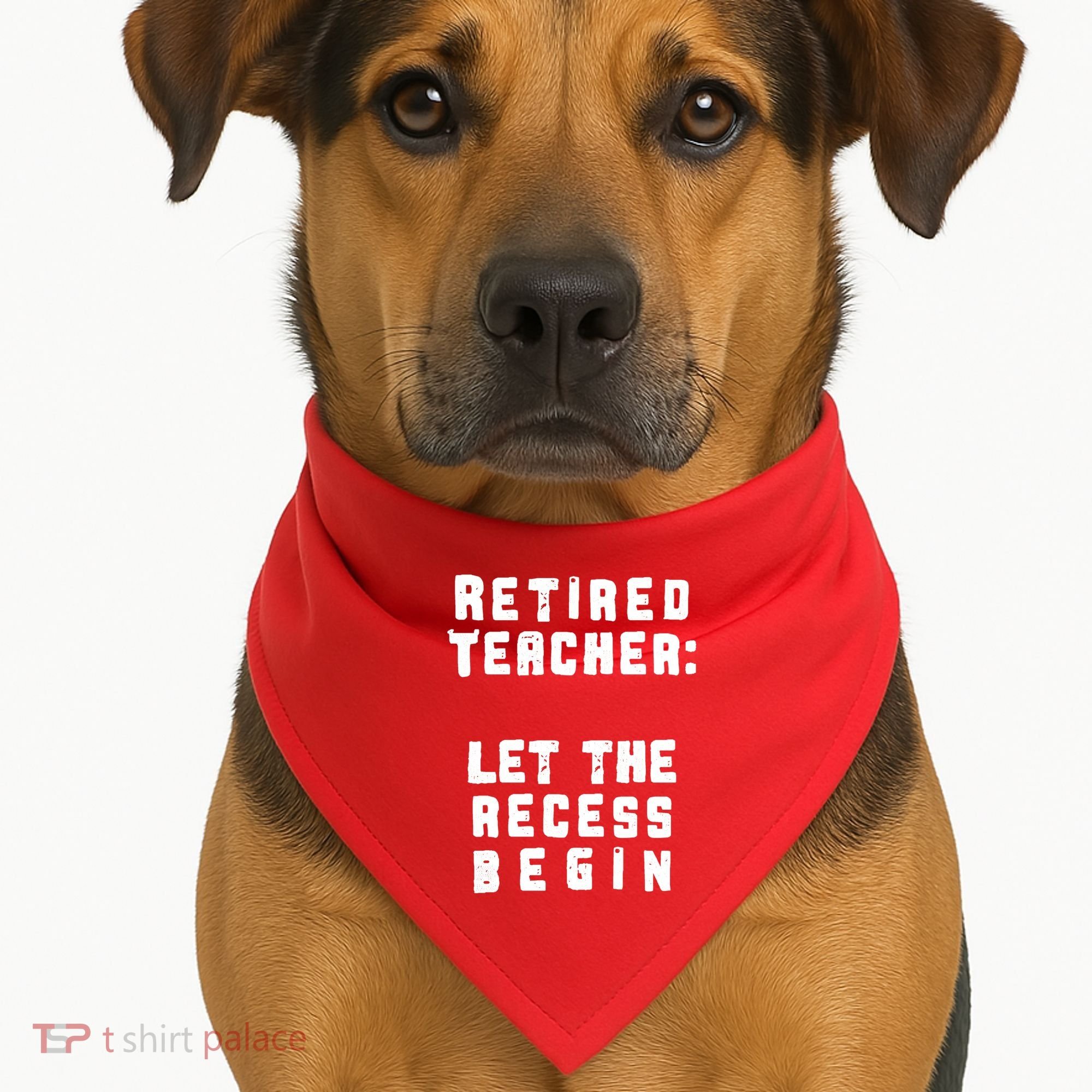 Retied Teacher Let The Recess Begin USA-Made Doggie Bandana