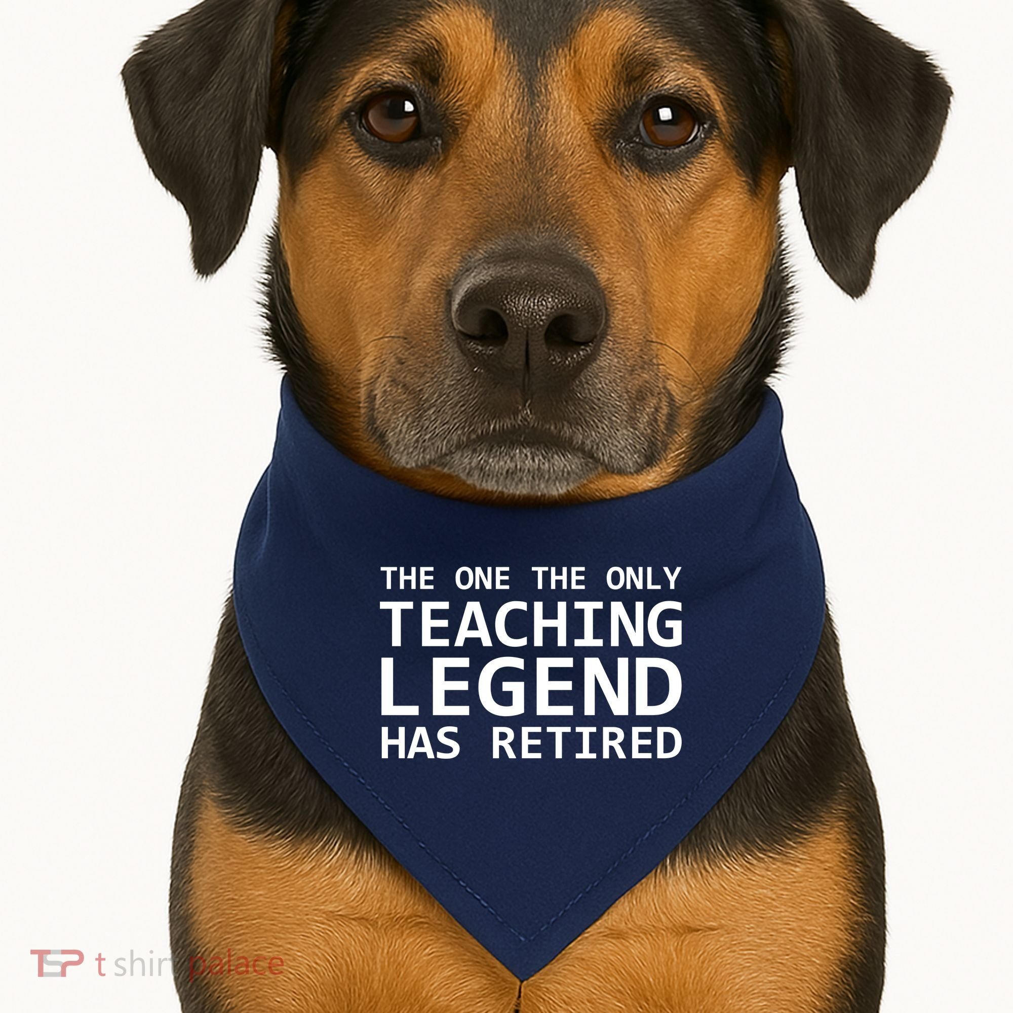 Retired Teacher Legend USA-Made Doggie Bandana
