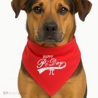 Retro Happy Pi Day 3.14 March 14th Math Geek USA-Made Doggie Bandana thumb 1
