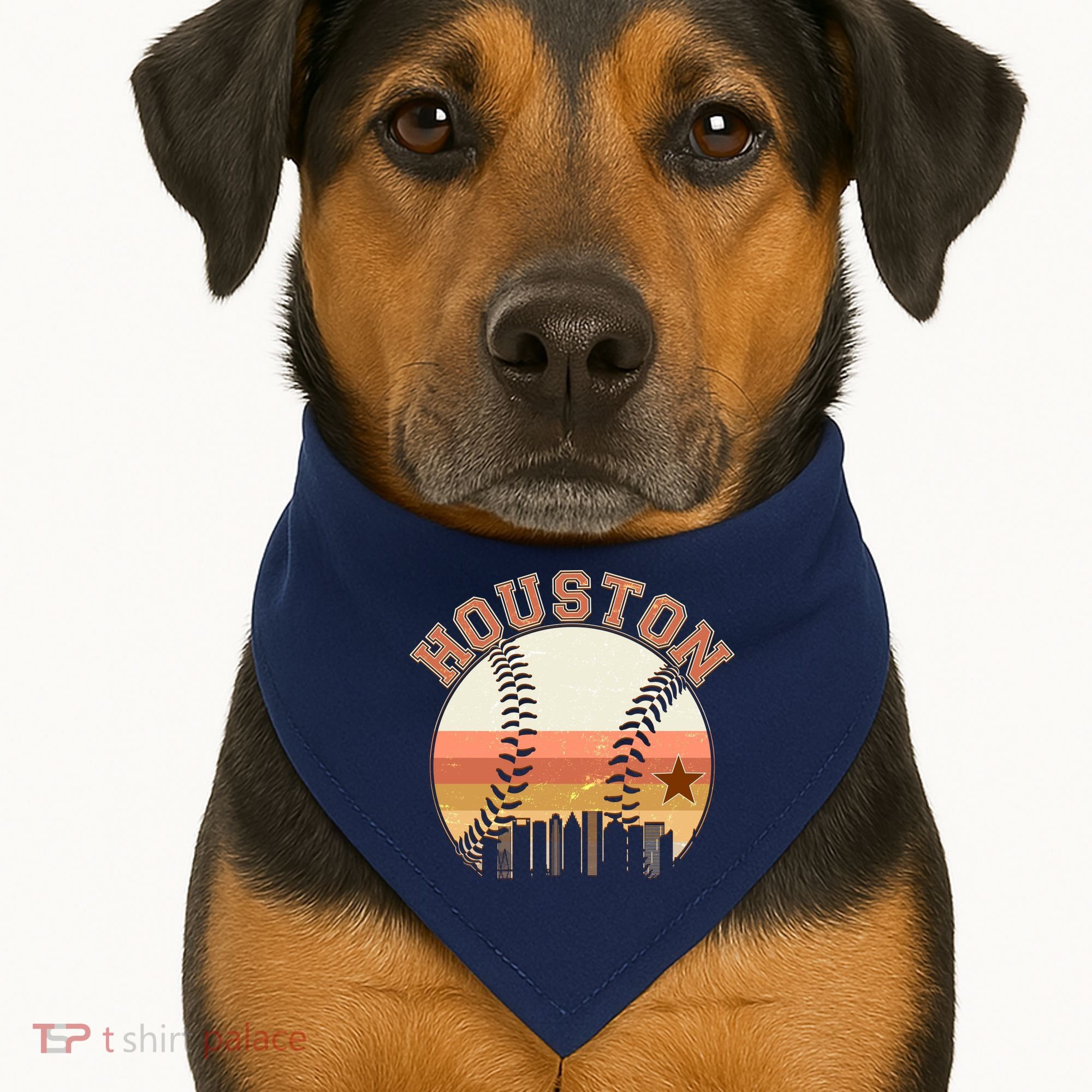 Retro Houston Baseball Fan USA-Made Doggie Bandana