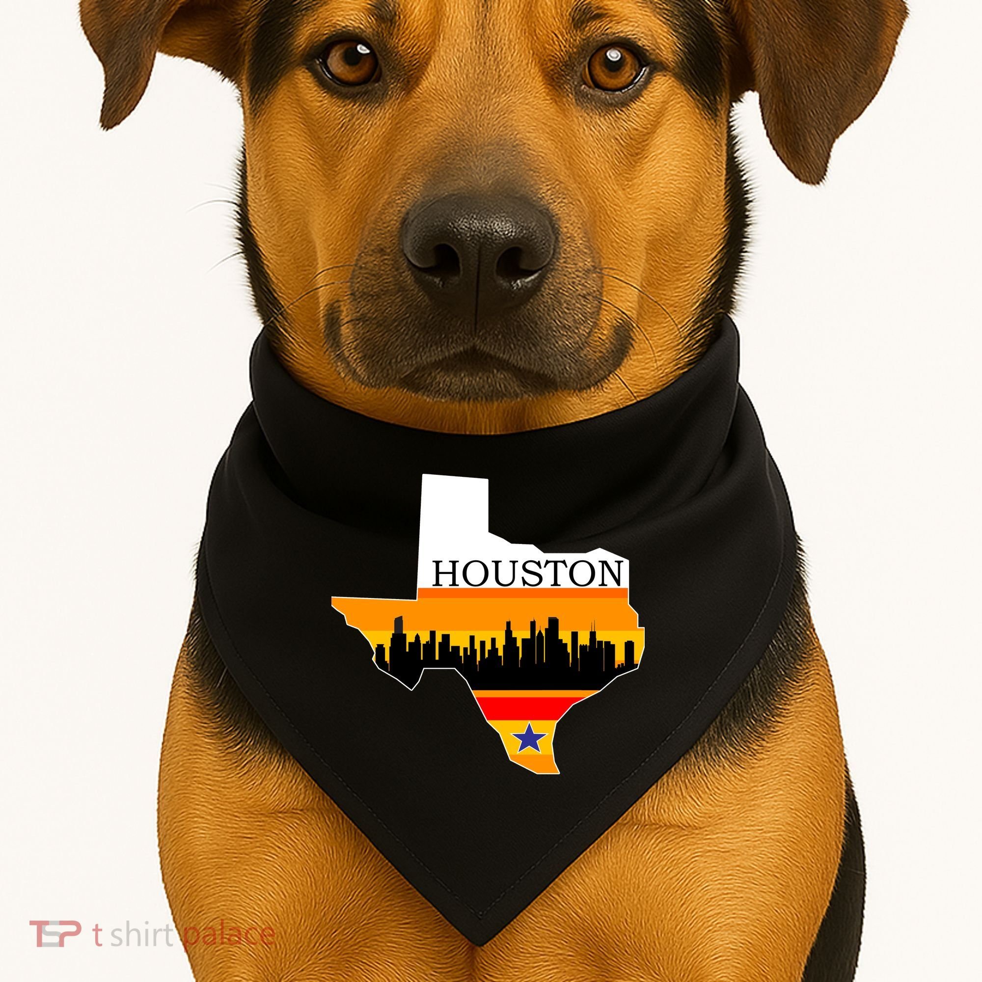 Retro Houston Texas Baseball Throwback USA-Made Doggie Bandana