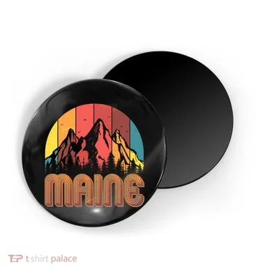 Magnet