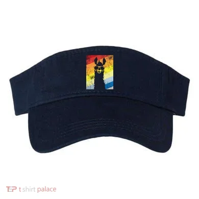 Visor