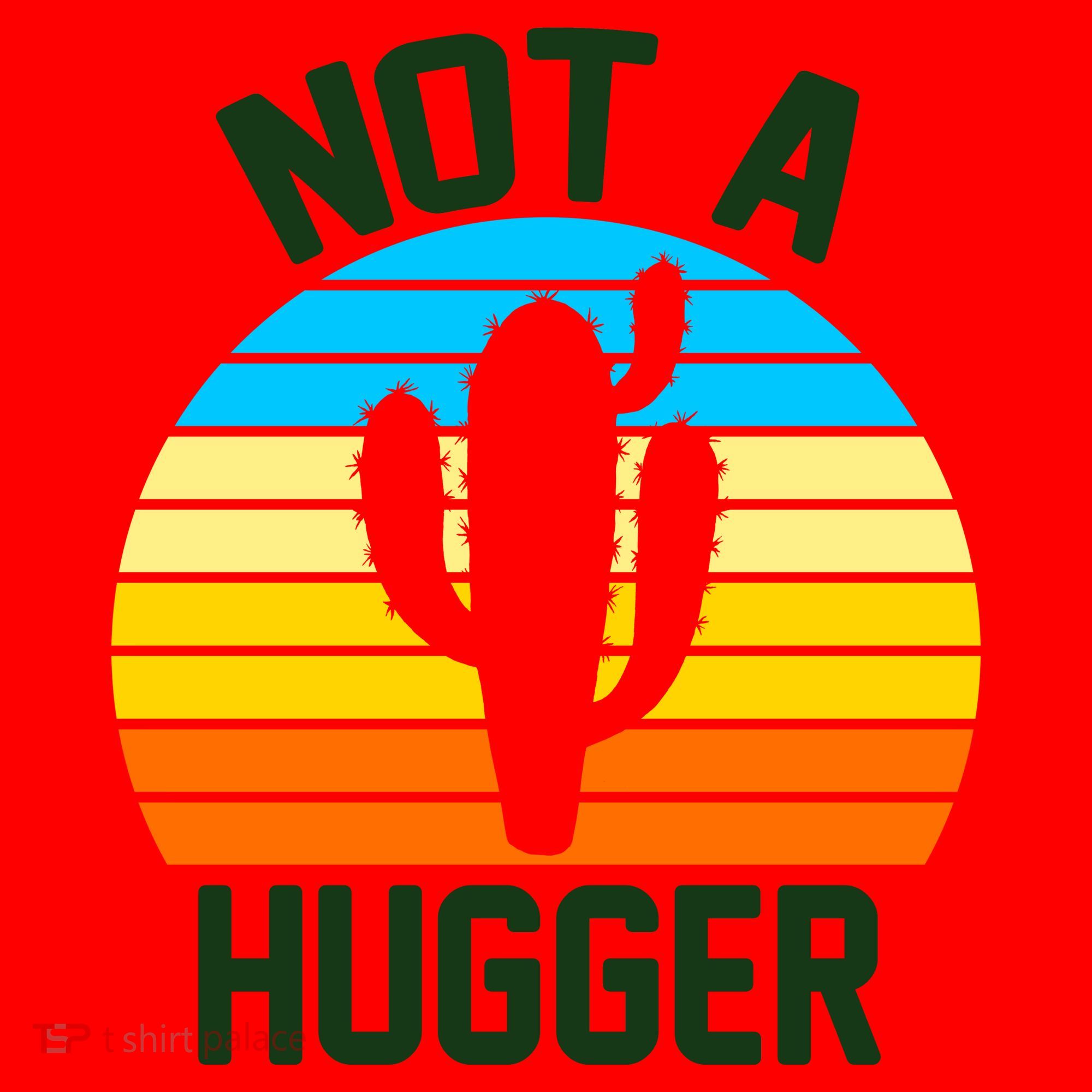 Retro Not A Hugger Funny Santa Hat