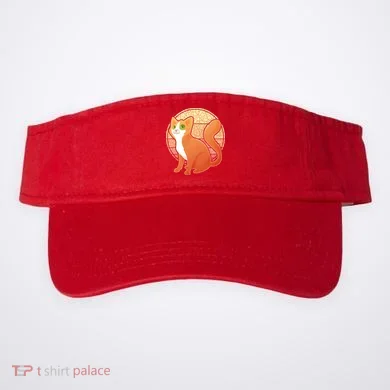 Visor