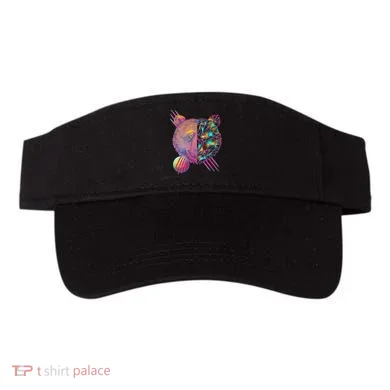Visor