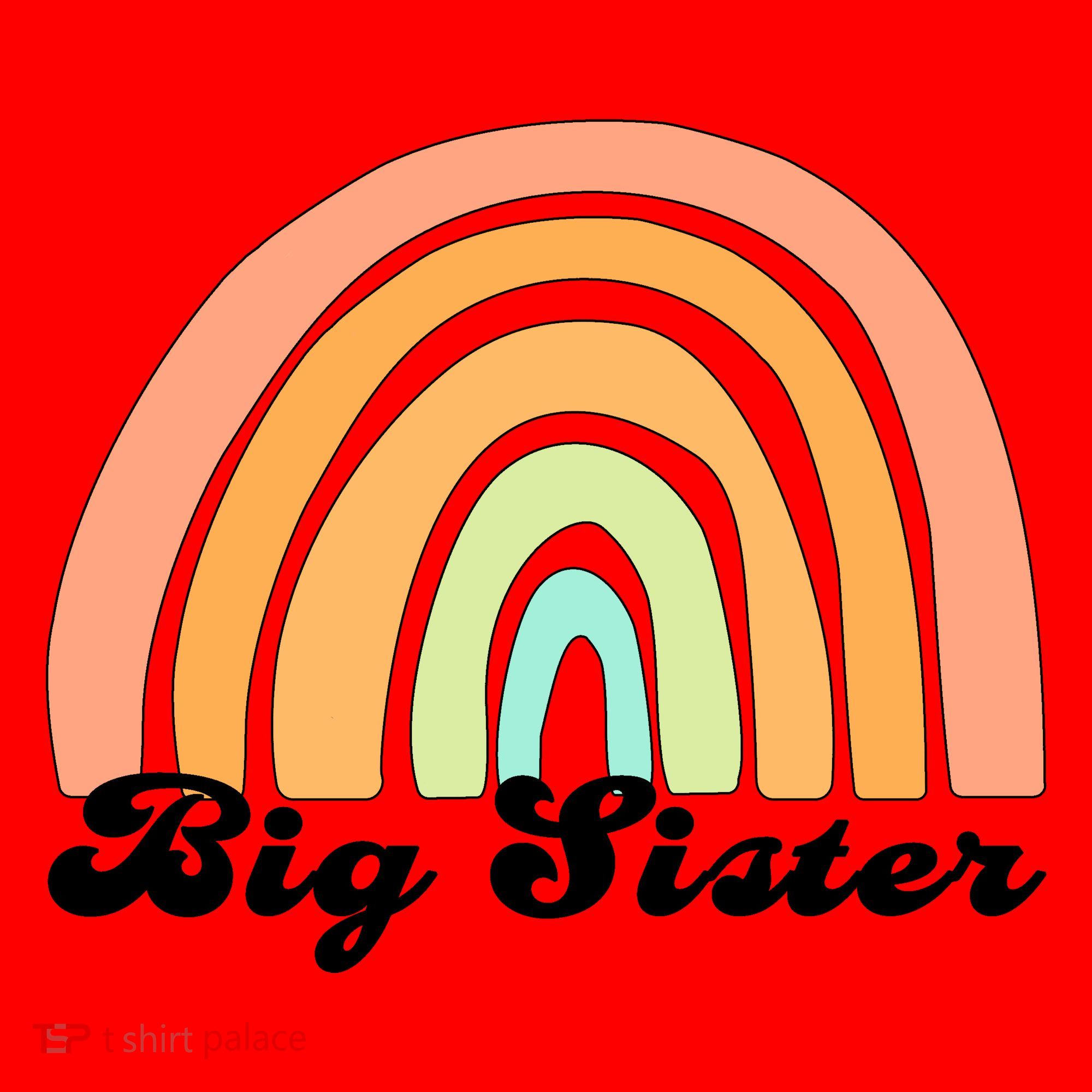 Retro Rainbow Big Sister Sibling Reveal Announcement Santa Hat