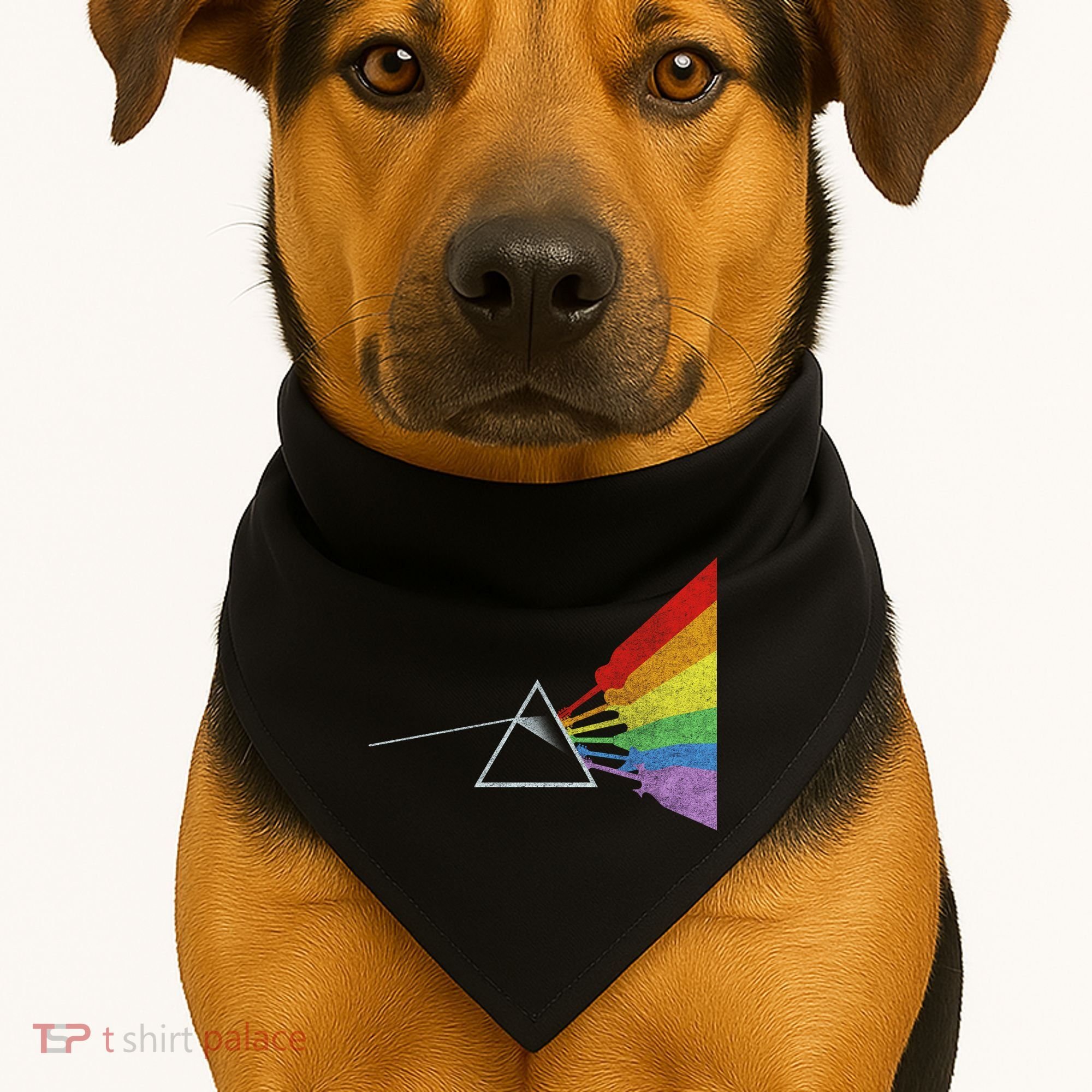 Retro Rainbow Guitars USA-Made Doggie Bandana