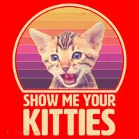 Retro Show Me Your Kitties Funny Meme Santa Hat thumb 1