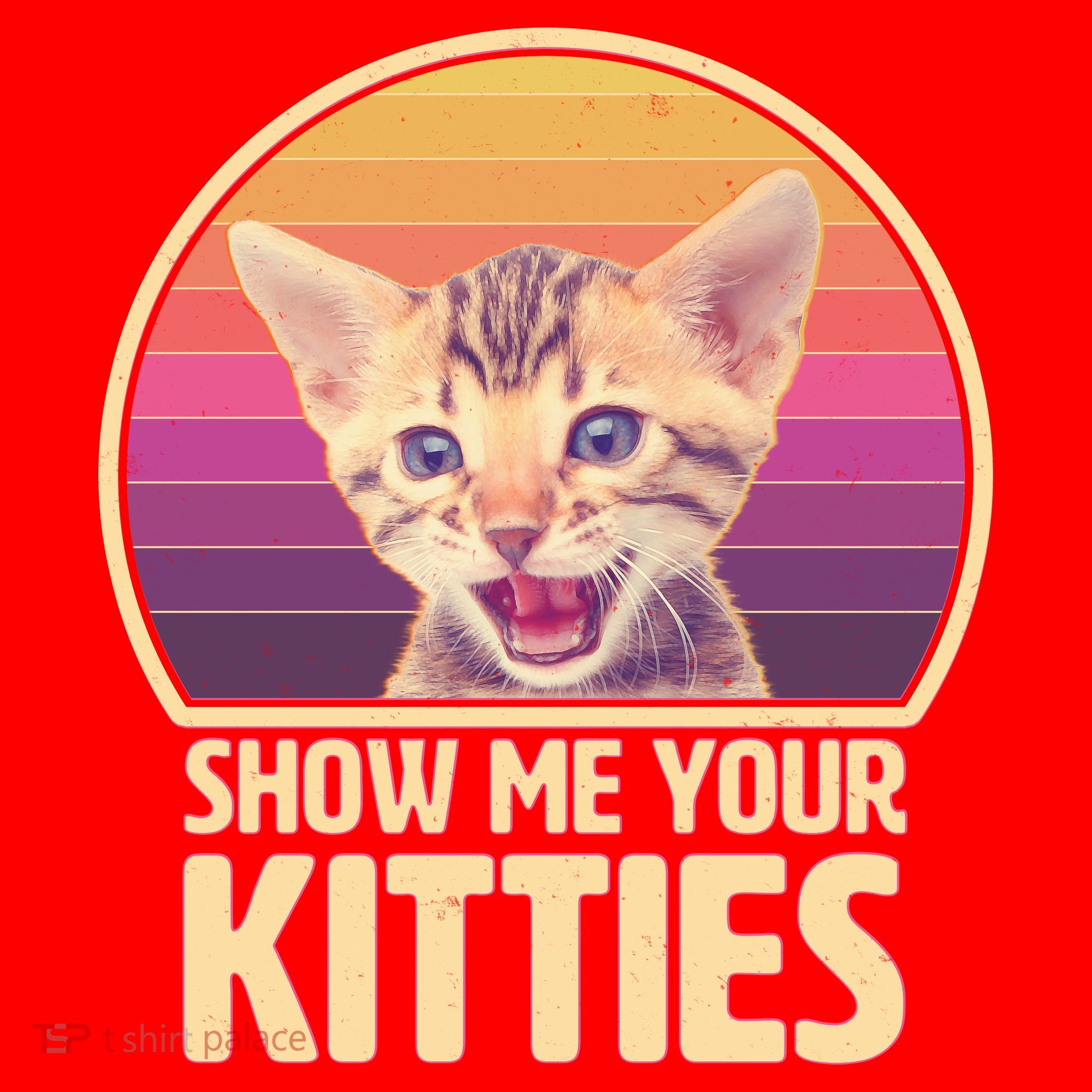 Retro Show Me Your Kitties Funny Meme Santa Hat