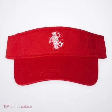 Visor