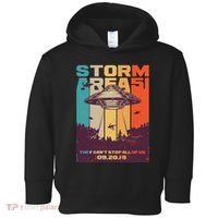 Retro Storm Area 51 UFO They Can't Stop Us All Toddler Hoodie thumb 0