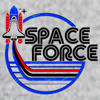 Retro USA American Space Force Emblem Sweatshirt thumb 2