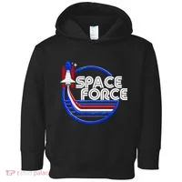 Retro USA American Space Force Emblem Toddler Hoodie thumb 0