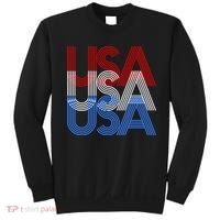 Retro USA Logo Sweatshirt thumb 0