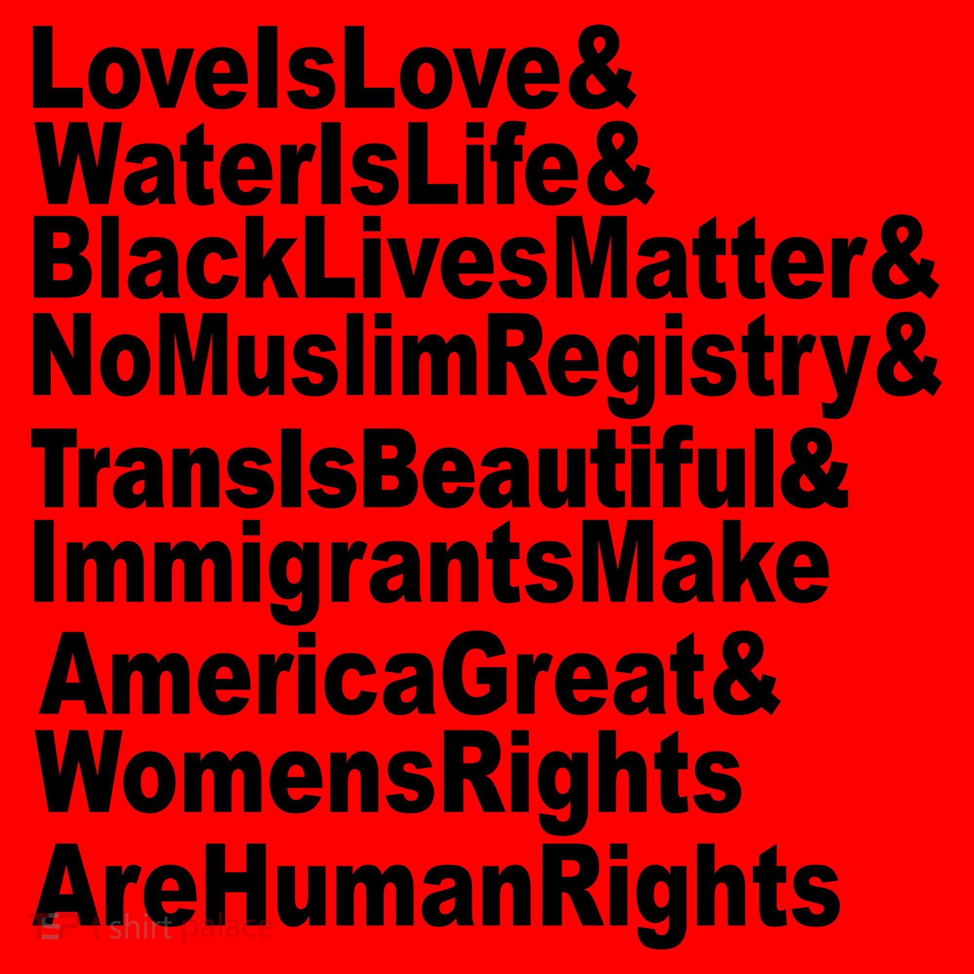 Revolutionary Intersectional Love Is Love Santa Hat