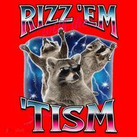 Rizz Em With The Tism Meme Autistic Raccoon Funny Rizz Gift Santa Hat thumb 1