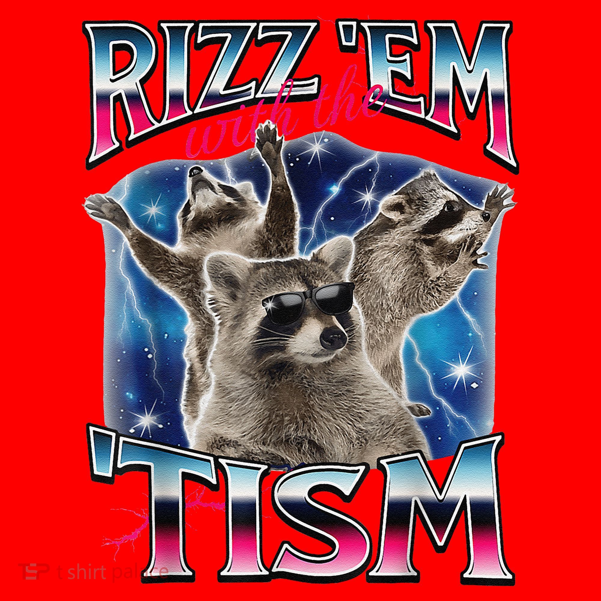 Rizz Em With The Tism Meme Autistic Raccoon Funny Rizz Gift Santa Hat