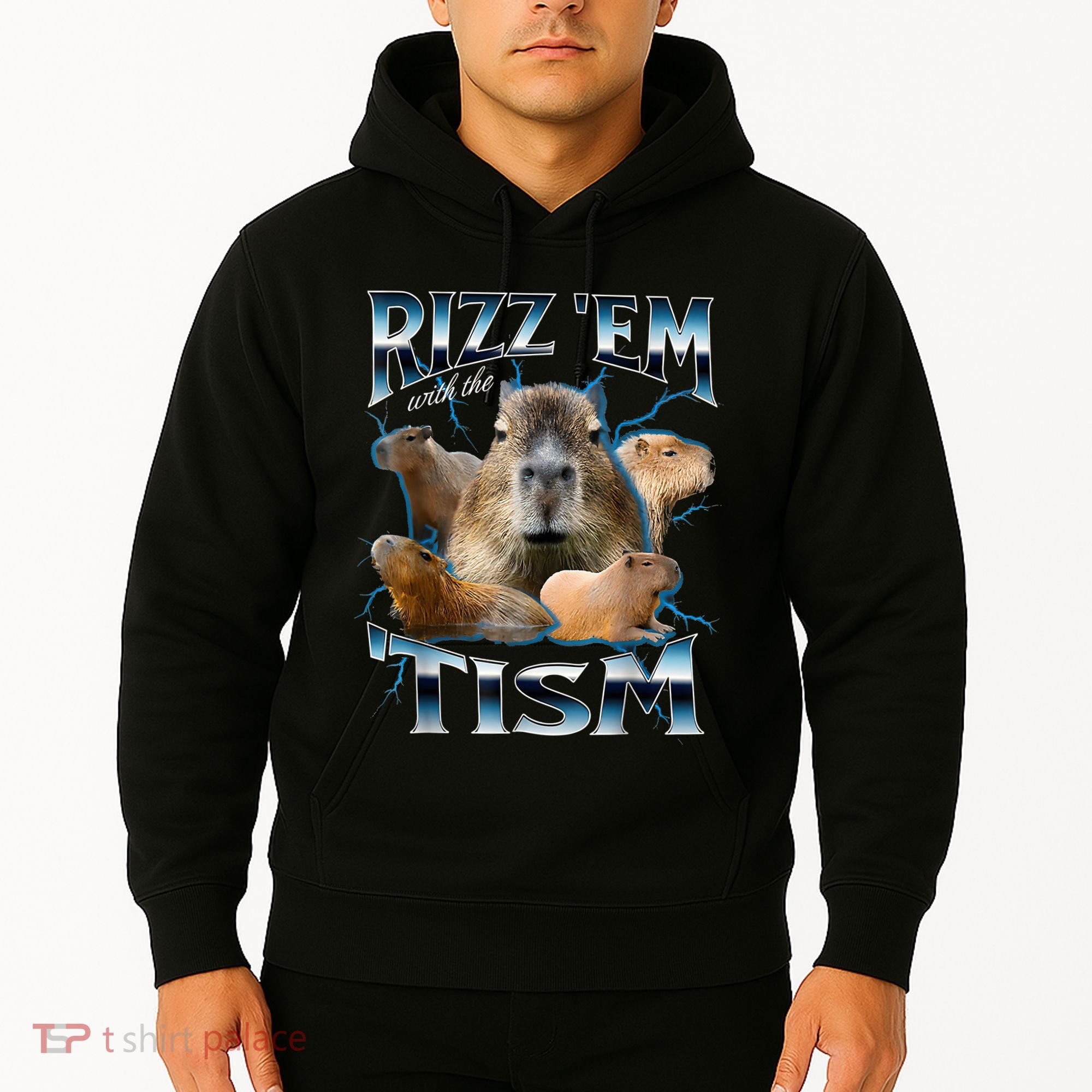 Rizz Em With The Tism Capybara Funny Oddly Dank Meme Hoodie