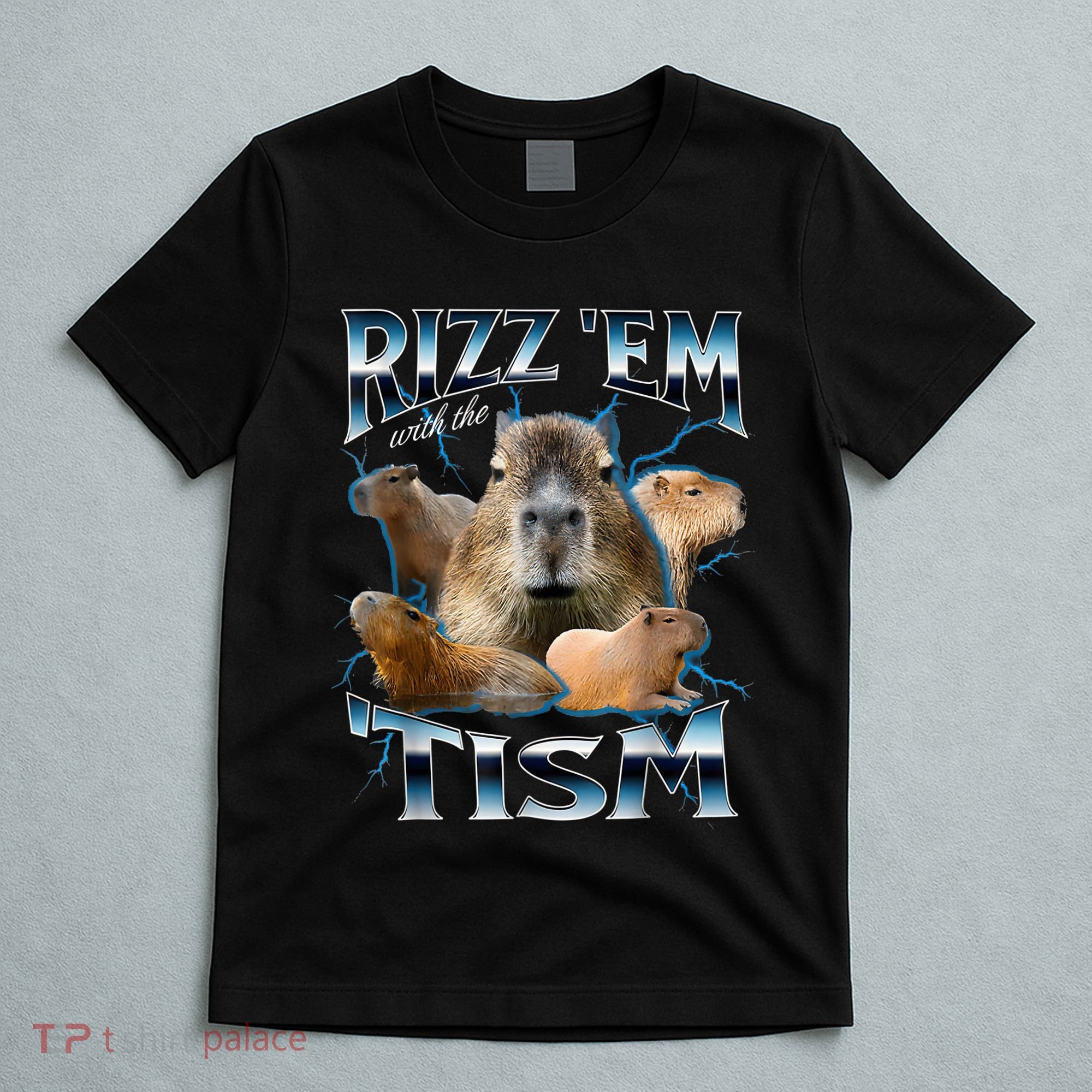 Rizz Em With The Tism Capybara Funny Oddly Dank Meme T-Shirt