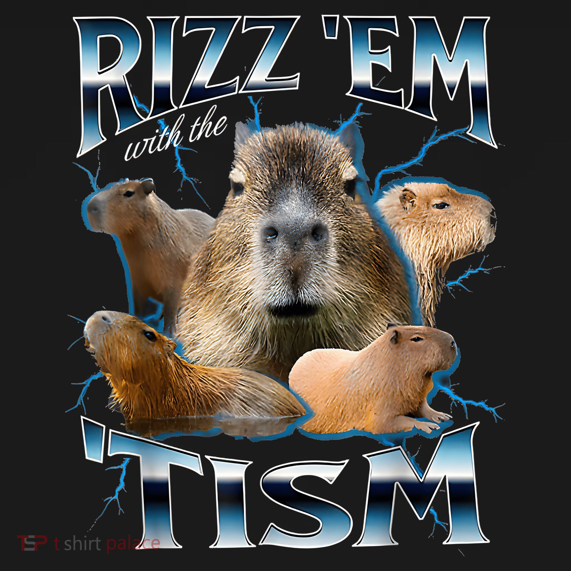 Rizz Em With The Tism Capybara Funny Oddly Dank Meme T-Shirt