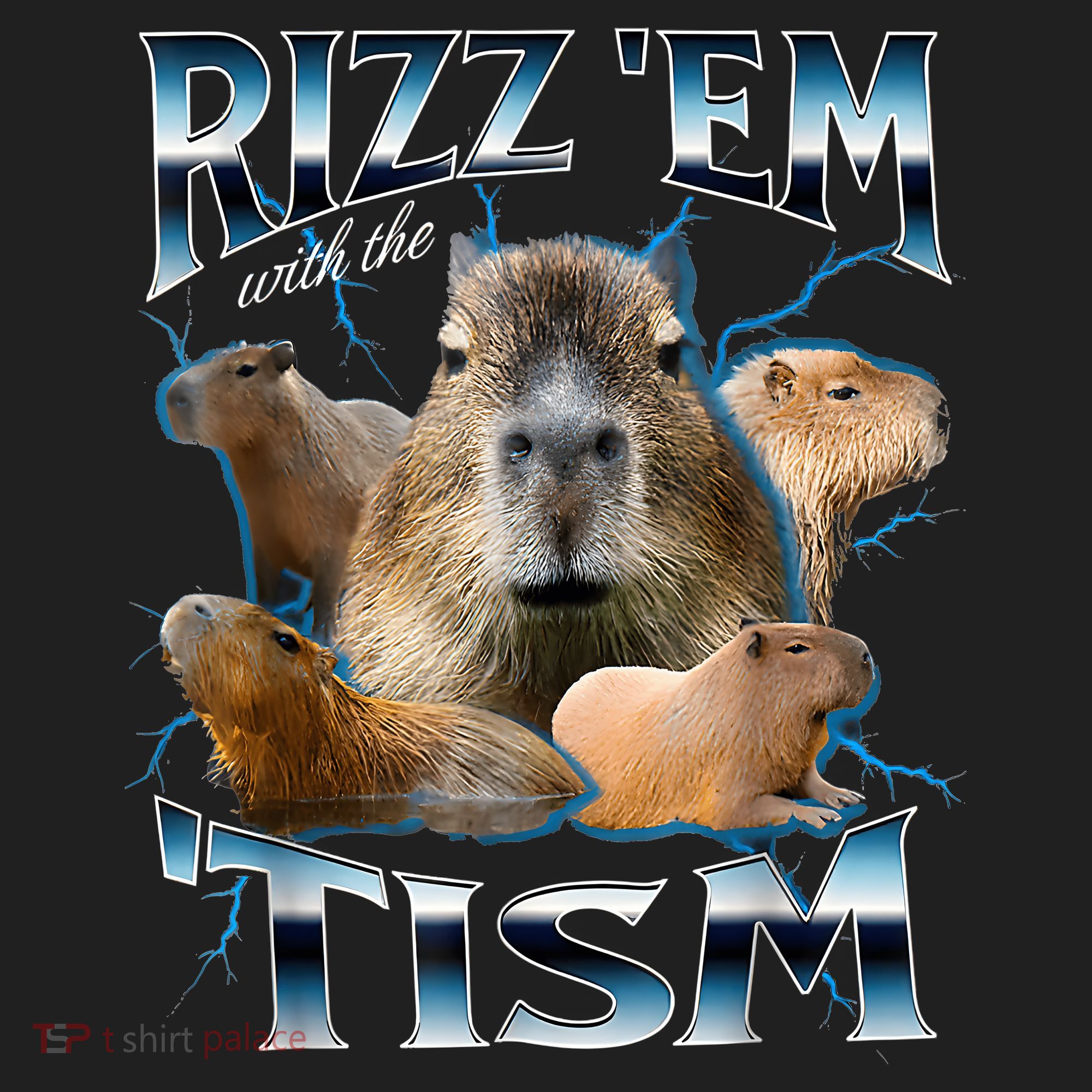 Rizz Em With The Tism Capybara Funny Oddly Dank Meme Beanie