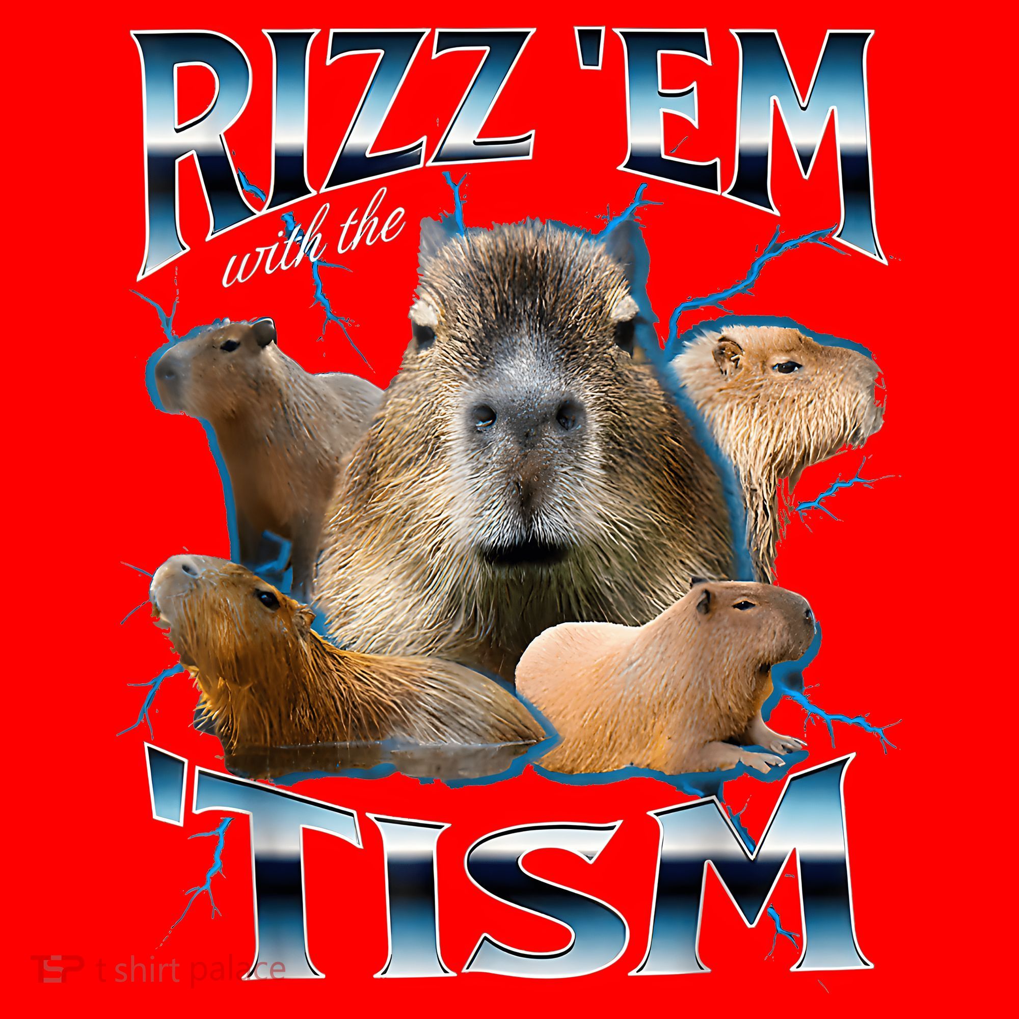 Rizz Em With The Tism Capybara Funny Oddly Dank Meme Santa Hat