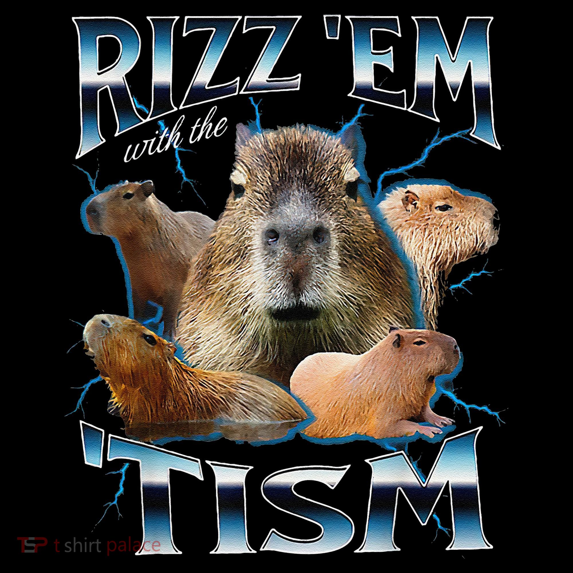 Rizz Em With The Tism Capybara Funny Oddly Dank Meme Women's Hoodie