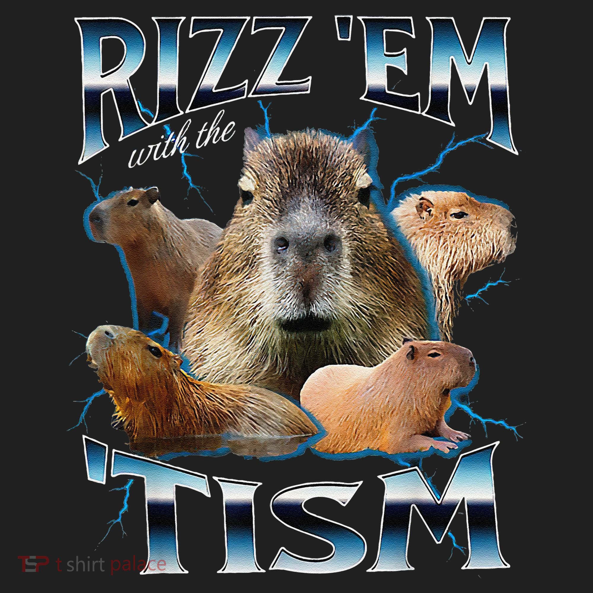 Rizz Em With The Tism Capybara Funny Oddly Dank Meme Tumbler