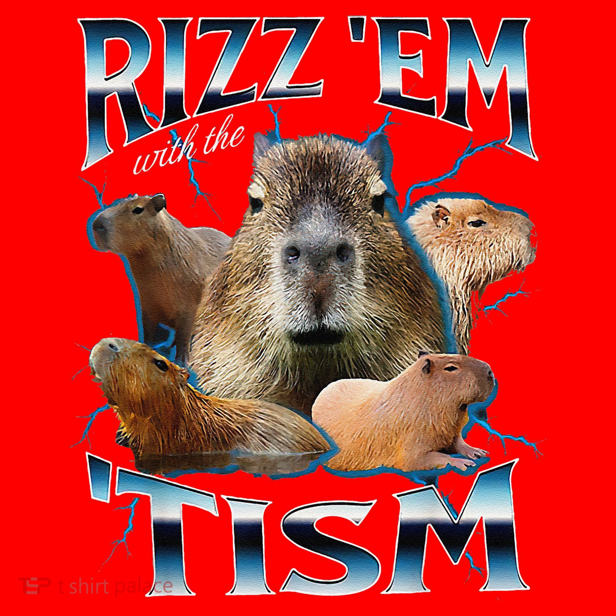 Rizz Em With The Tism Capybara Funny Oddly Dank Meme Santa Hat