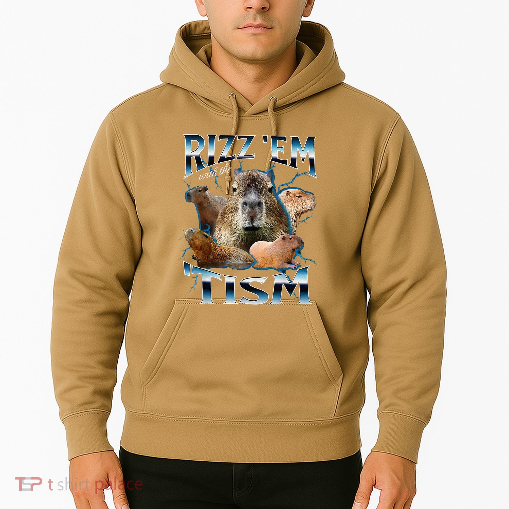 Rizz Em With The Tism Capybara Funny Oddly Dank Meme Hoodie
