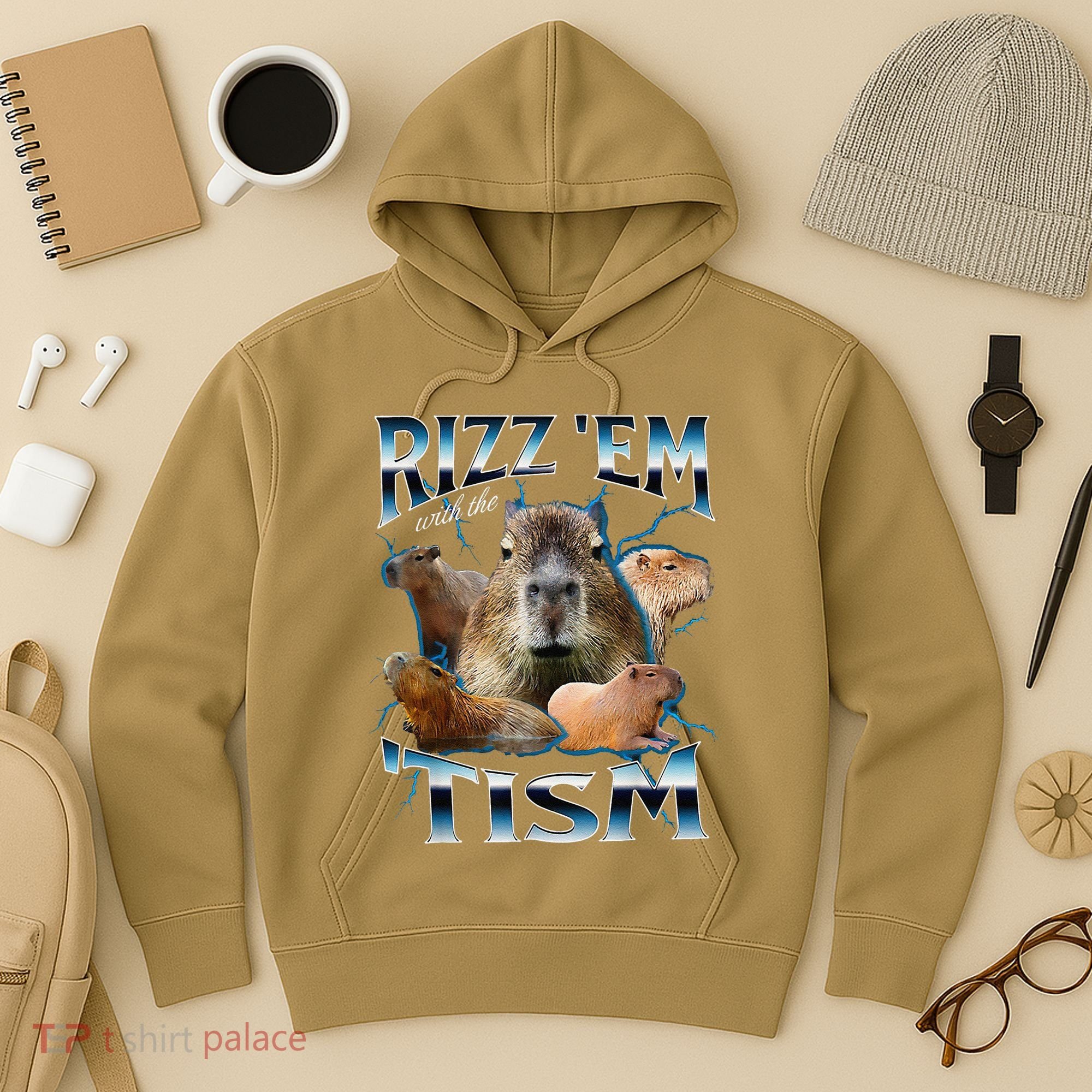 Rizz Em With The Tism Capybara Funny Oddly Dank Meme Hoodie