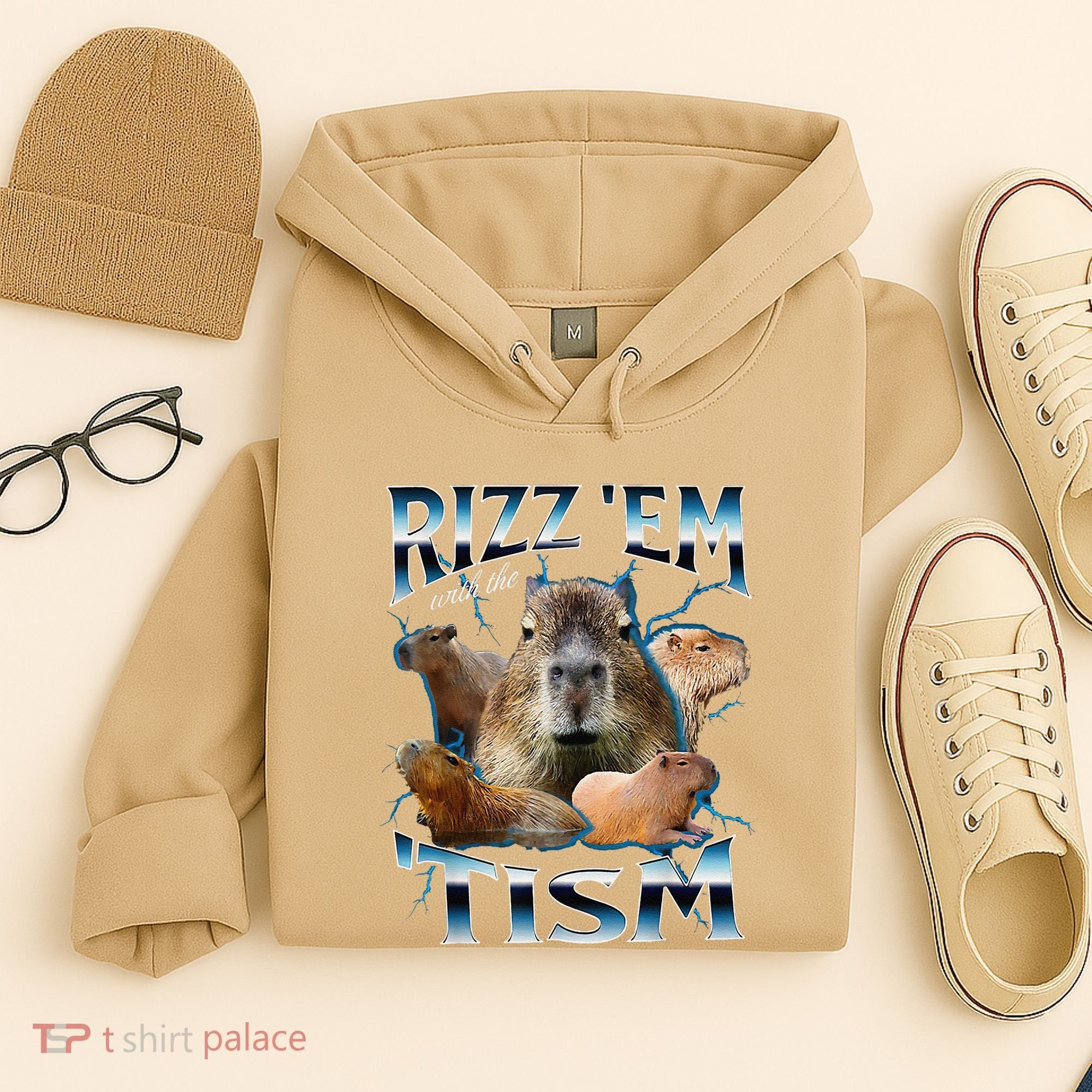 Rizz Em With The Tism Capybara Funny Oddly Dank Meme Hoodie