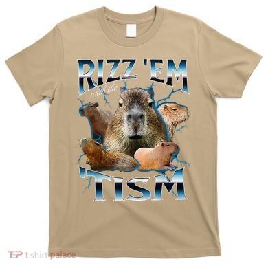 Rizz Em With The Tism Capybara Funny Oddly Dank Meme T-Shirt