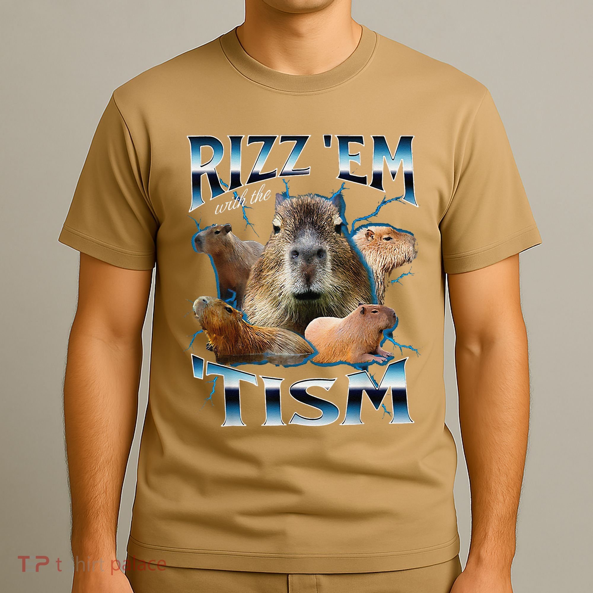 Rizz Em With The Tism Capybara Funny Oddly Dank Meme T-Shirt