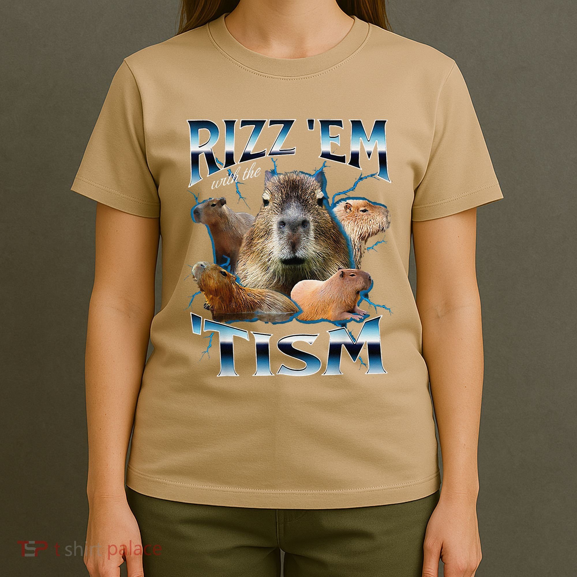 Rizz Em With The Tism Capybara Funny Oddly Dank Meme T-Shirt