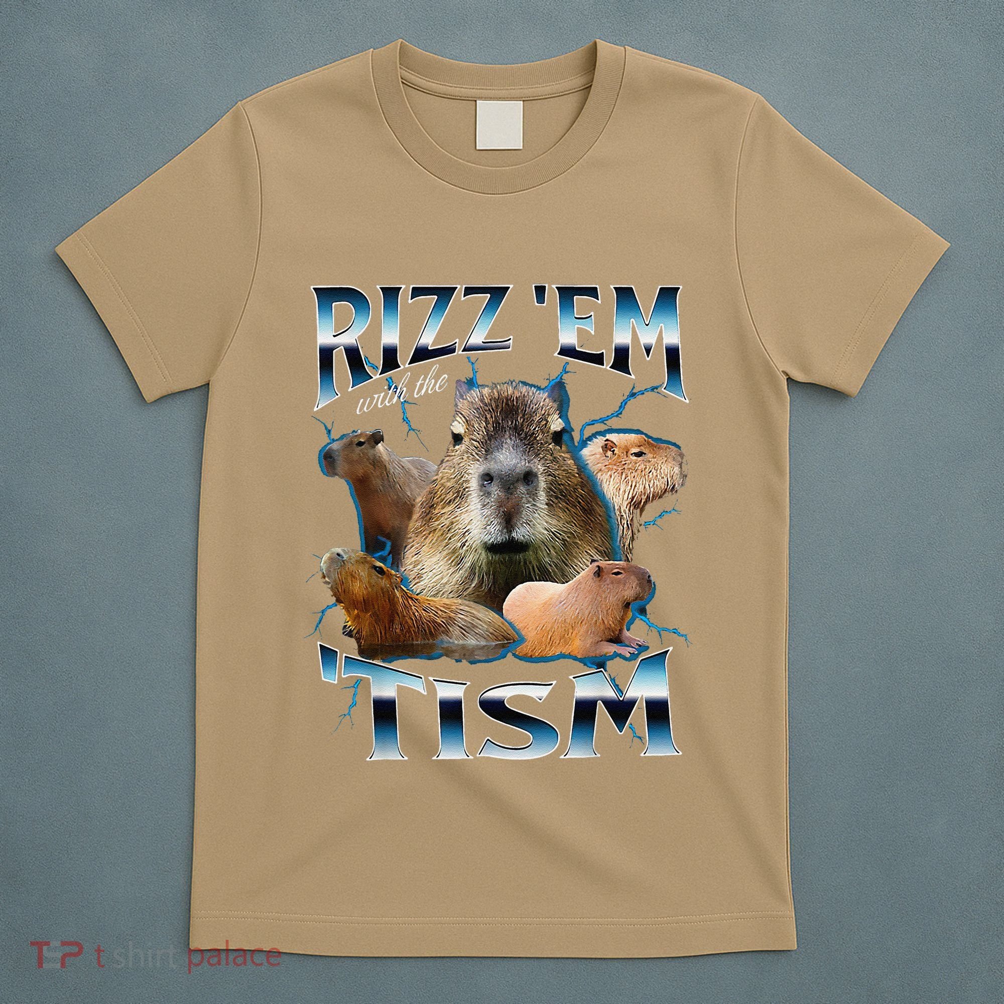 Rizz Em With The Tism Capybara Funny Oddly Dank Meme T-Shirt