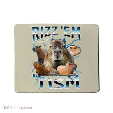 Rizz Em With The Tism Capybara Funny Oddly Dank Meme Mousepad