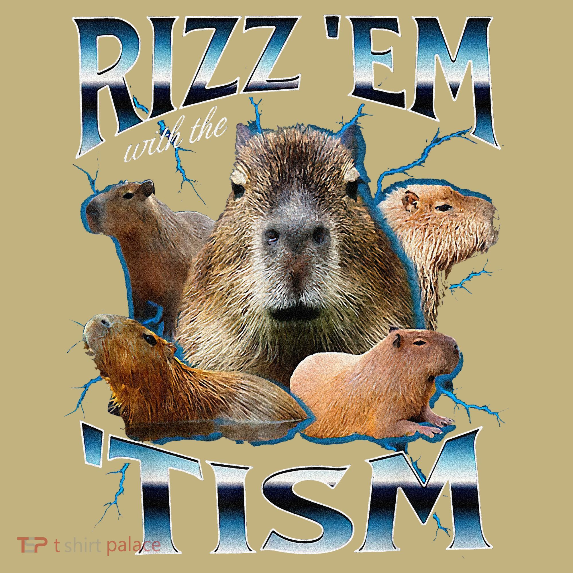 Rizz Em With The Tism Capybara Funny Oddly Dank Meme Mousepad