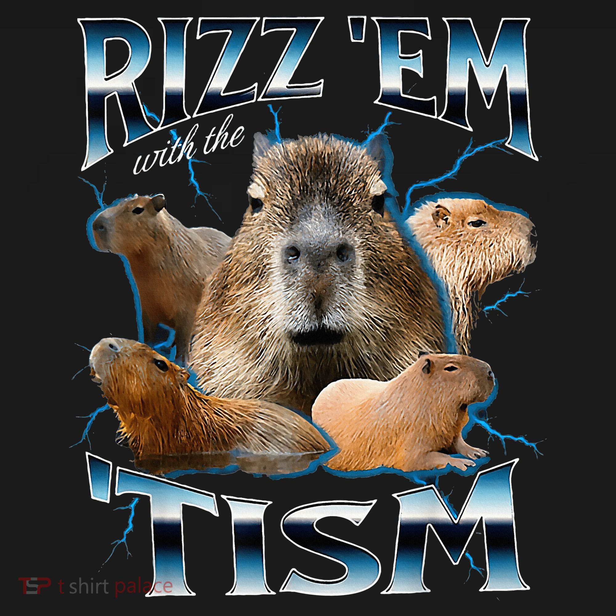Rizz Em With The Tism Capybara Funny Oddly Dank T-Shirt