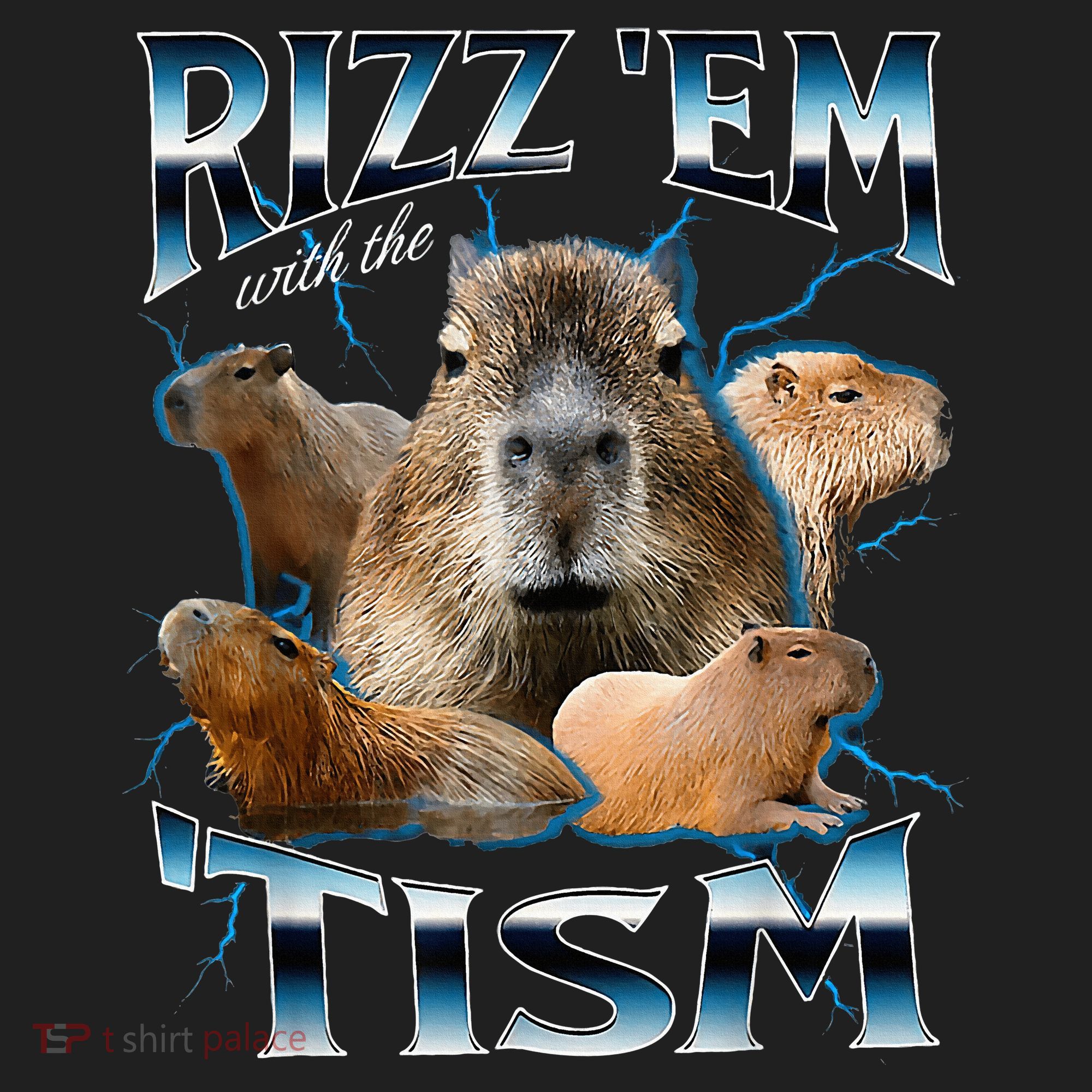 Rizz Em With The Tism Capybara Funny Oddly Dank Beanie