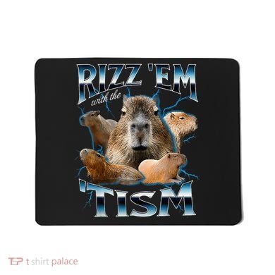 Rizz Em With The Tism Capybara Funny Oddly Dank Mousepad