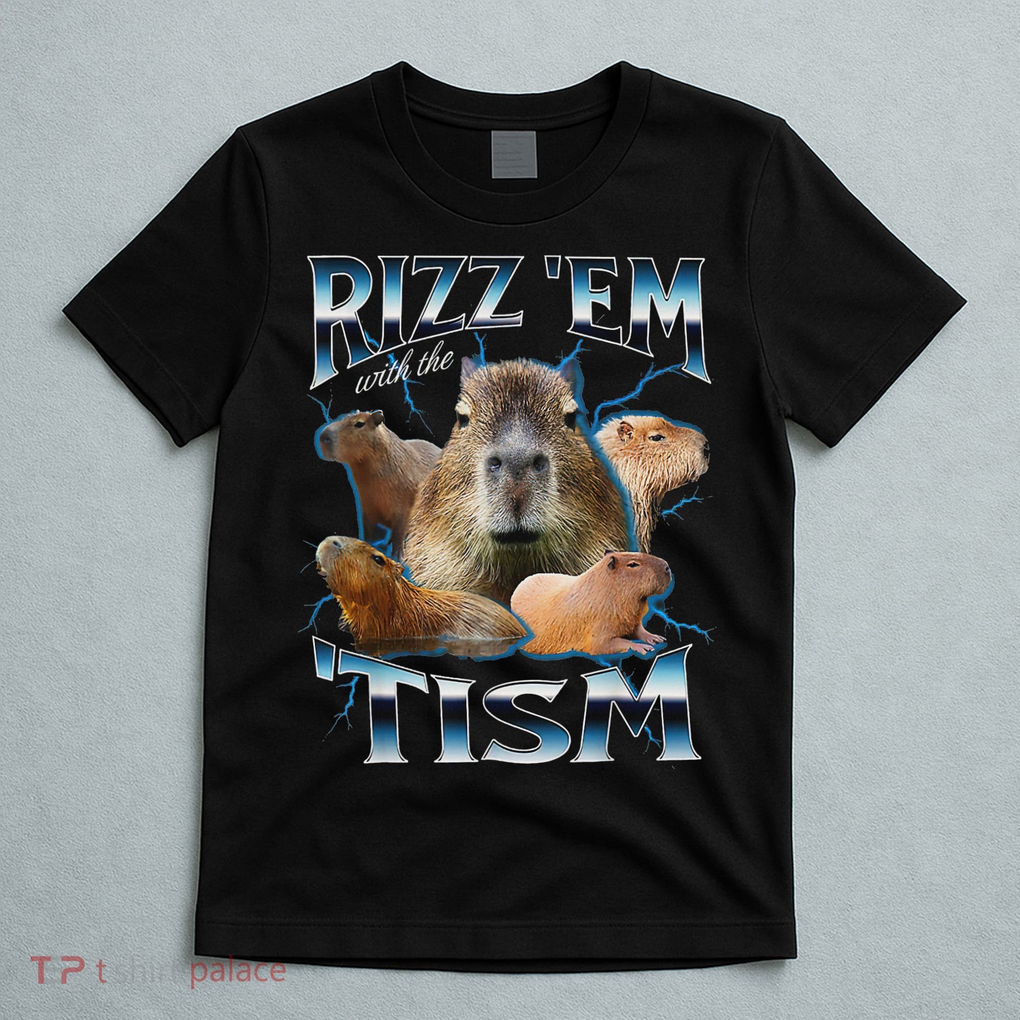 Rizz Em With The Tism Capybara Funny Oddly Dank Meme T-Shirt