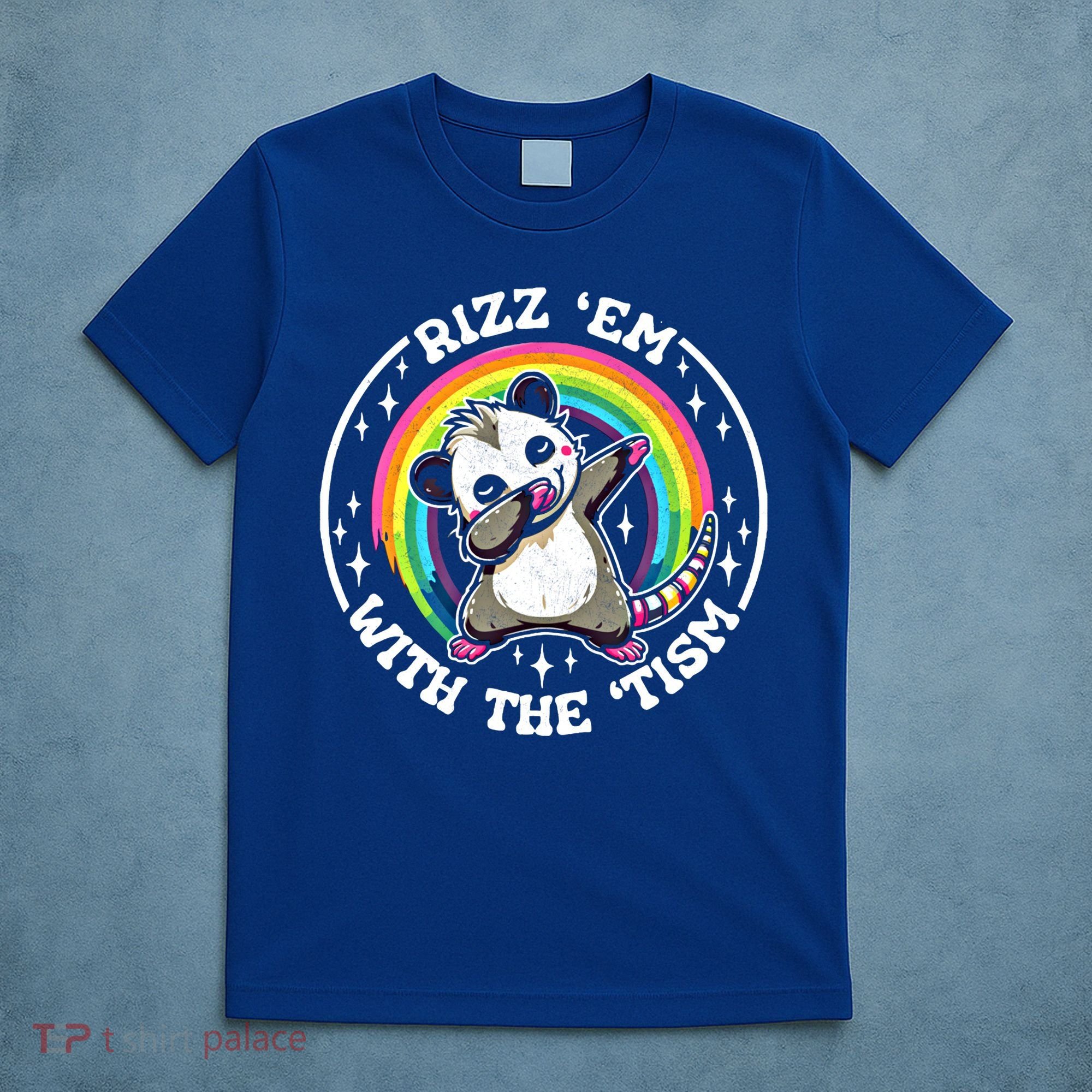 Rizz Em With The Tism Autism Funny Meme Autistic Opossum Meaningful Gift T-Shirt