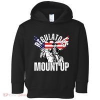 Regulators Funny 4th Of July Independence Day Eagle Toddler Hoodie thumb 0